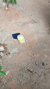 Ebony Soft Creamy Bussy Got Double Penetration with Massiv Dido and Massiv Dick in an Abandoned Building in the Forest