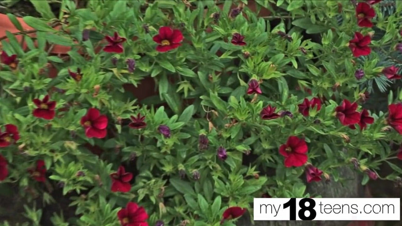 My 18 Teens: MY18TEENS - remaja Rusia blowjob zakar dan kongkek pepek