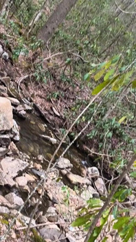Papis camping im wald und prinzessin deepthro nimmt Papis großen fetten schwanz schluckt seine riesige ladung