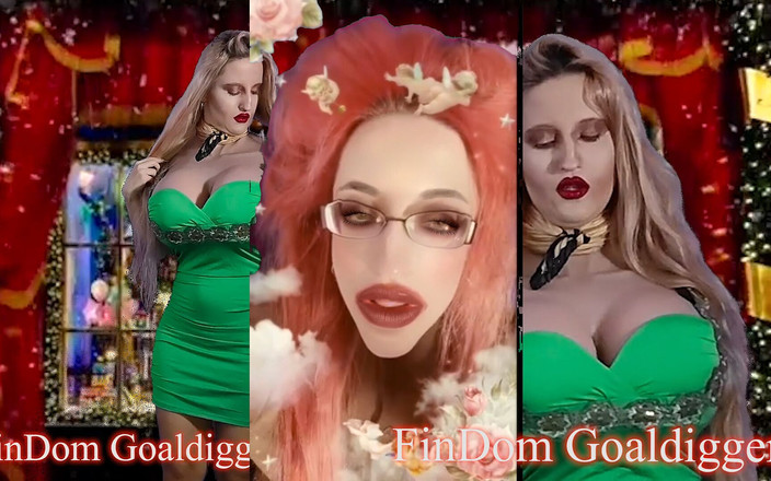 FinDom Goaldigger: Moje peněženka