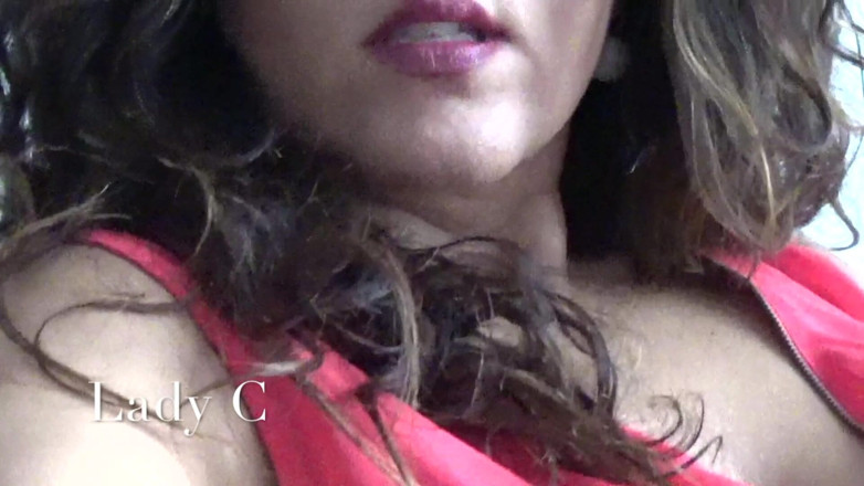 Lady Claudia: My hairy armpit