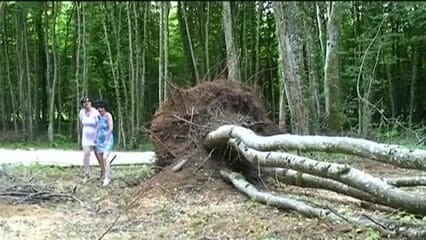 Hard Lesbians: Two matures in the wild join their new friend for...