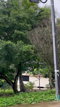Ini Tidak Perlu Berlaku Tepat Pada Masa Itu Dan Di Tempat Itu