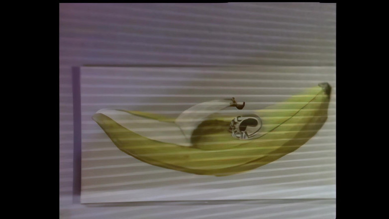 Vintage megastore: A Big Black Cock for the Blonde Hairy Pussy of...