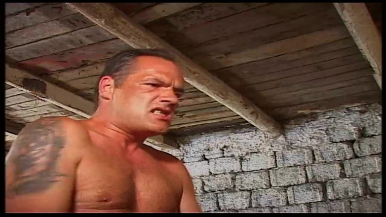 Vintage Movies XXX Best of: Máy bay bà già tóc vàng cổ điển bị tàn phá...