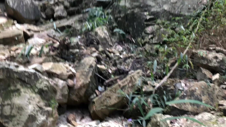 Lustybaby605: Приключения джунглей 2.3 Трах глубоко в лесу