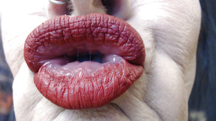 Abby Anna: Super kachní detailní rtěnka červená matná