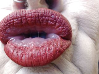 TLC 1992: Matte merah lipstik super closeup