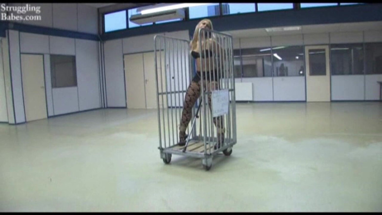 Submissed: Docka leveransservice 02 dildodoll