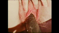 Vintage Usa: 购物中的柑橘水果