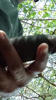 Teen Indian Guy Handjob in Outside Till Cum Shot
