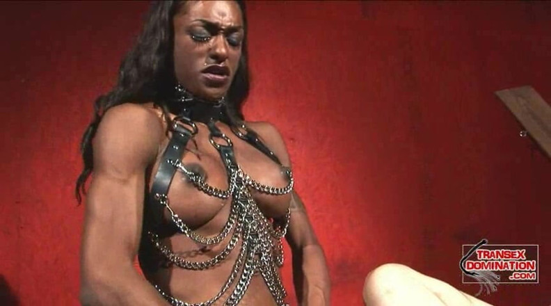 Transex domination: Natalia coxxx नियंत्रण लेती है