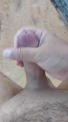 Ladysilvas: Ladysilva batang panas saya di pantai