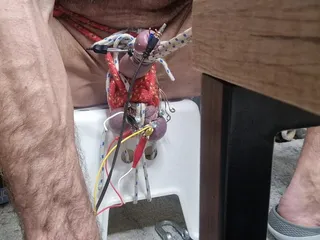 Penis Bondage and Electro