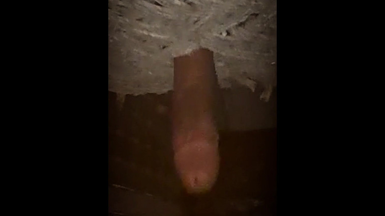 Desi Porn India 2: Video kompilasi crot sperma hangat baruku.