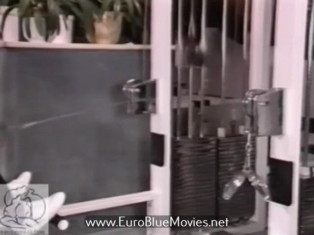 Euro Blue Movies: Чудо сисек (1990)