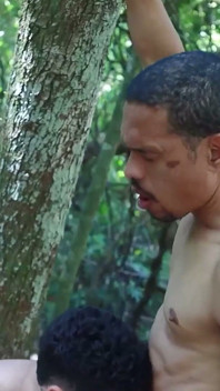I the Guy in the Bush and Came in the First Position