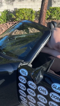 Tiny Car Squeeze