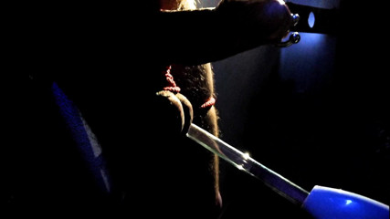 Master Drex: Wand Violet