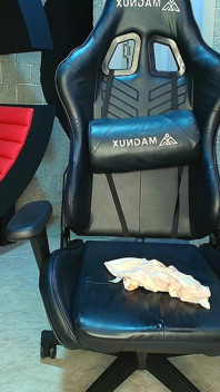 Çıplak seks özel gösterisi amcık mastürbasyonu