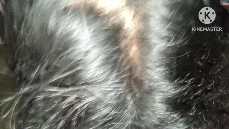 Nenika: 德西热哥在晚上做爱