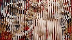 3D Nude Set 6