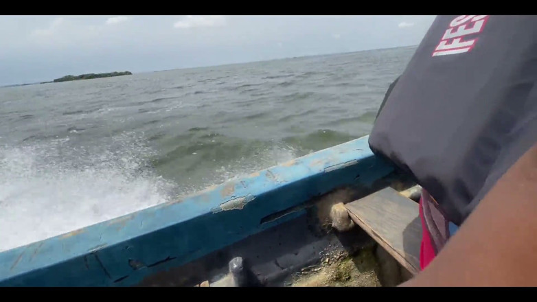 King Sasha's hub: A Journey Through the Sea