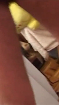 Horny brunette gets banged by three guys