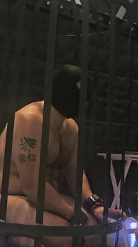 Ladyzara Schiava Bi Pompino Lezione Di Pompino Piediworship Jerkoff Umiliazione Dell'anale Sul Rack Parte 1