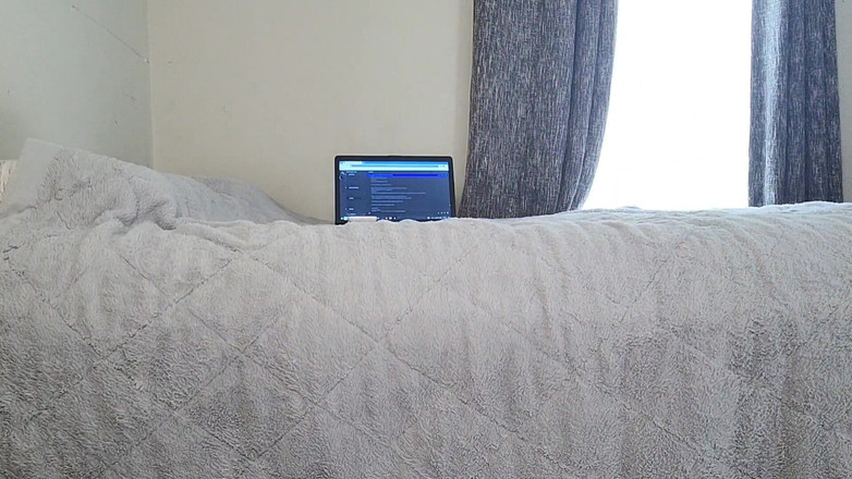 Julia Ryan: अनुमान लगाना खेल