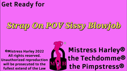 Mistress Harley: Strap-on sudut pandangan pertama blowjob banci