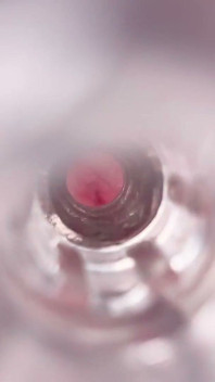 POV Fleshlight Fuck