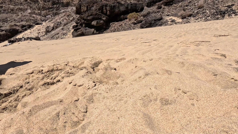 Emma Voyeur: Fkk-strand, Pisse-zusammenstellung Im Freien