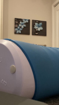 Fazendo um clonado do meu pau