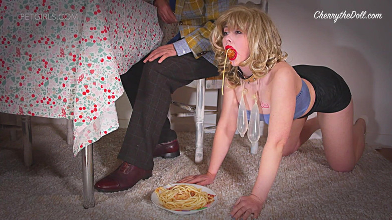 Cherry The Doll: レディ&ザ・トランプ