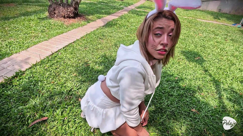 Pelaje mix: 無垢なウサギは、穴にニンジンを詰め込むのが大好きです。