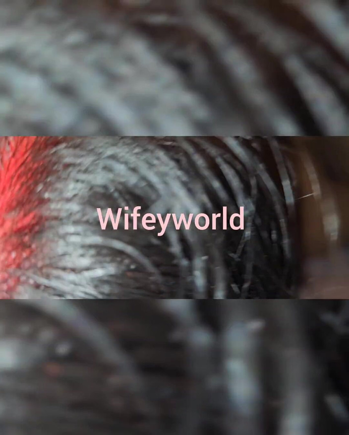 Wifeyworld2025: 晨间蛋白质剂量