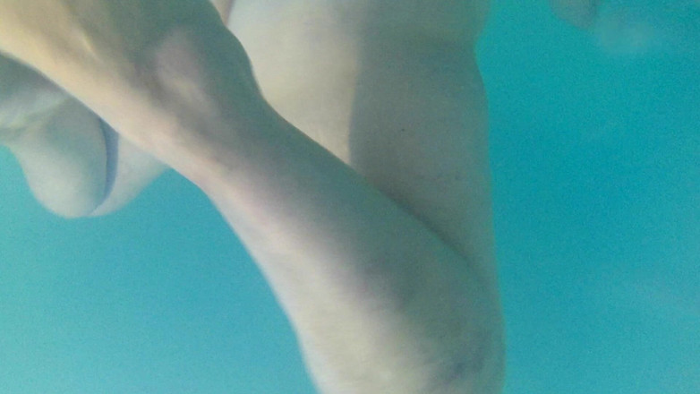 Florance Wimps: Underwater