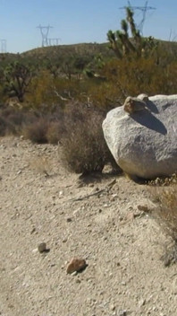 Caminhada no deserto masturbando 9