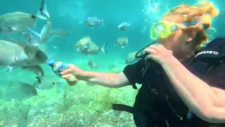 JessieHH: Tauchtauchen in Turkrij! Kostenlos