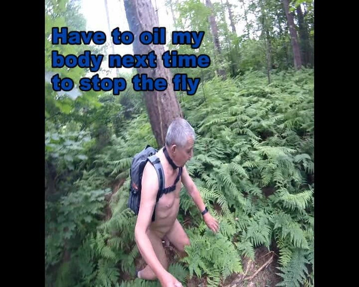 Andy: Bagian 2 jalan kaki di hutan