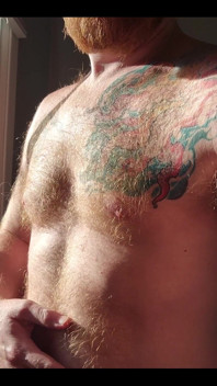 The Morning Sunlight