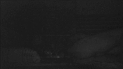 Jollyfuckingoldman: Istri mergokin suami selingkuh sama babysitter