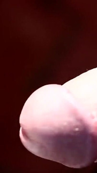Matrix style