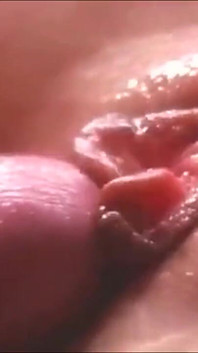 my stepsister shows her delicious pussy and I fuck her