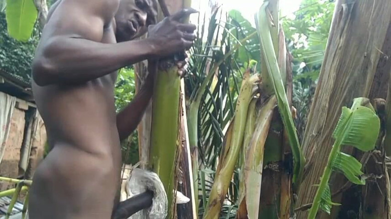 Bangcum8: Pria ini lagi sendirian di hutan dan membuat pohon pisang...