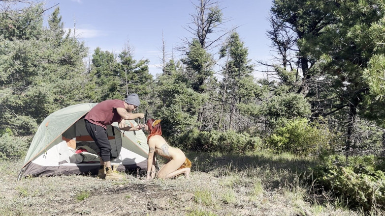 MYA Pleasure: A Fox in the Woods