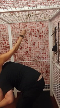 Luci yang dipasang dalam sangkar: penutup angin, rotan dan vibrator
