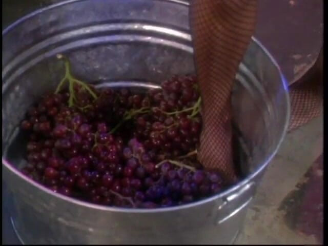 Foot Girls: Foot worship and food play