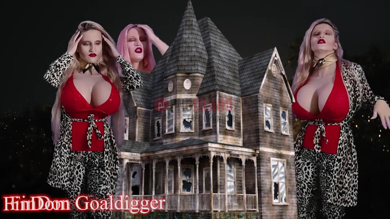 FinDom Goaldigger: Transformasi yang hebat